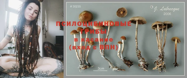 винт Алексеевка