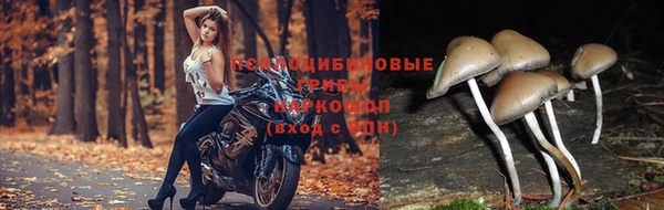 бутик Алзамай